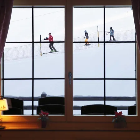 Mountain Lodge, Hotel
