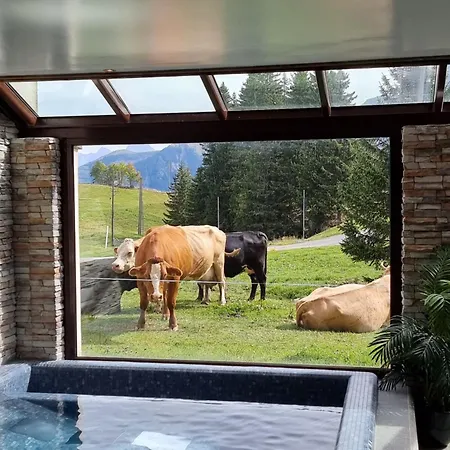 Hotel Mountain Lodge, Les Crosets