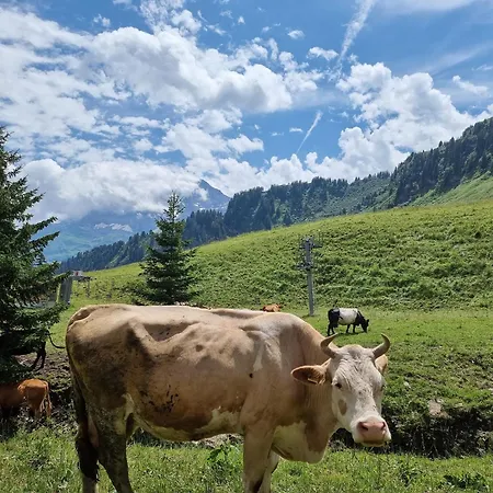 Mountain & Spa, Les Crosets