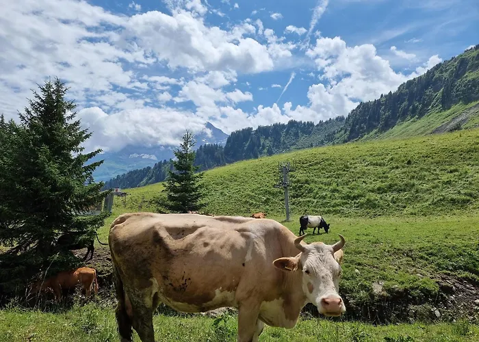 Mountain & Spa, Les Crosets